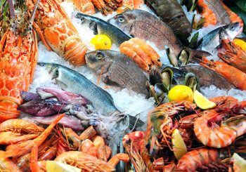 fish and seafood delivery luxury experiences on lefkada cover photo