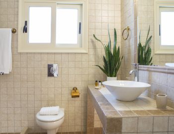 ionian luxury villas levanda lefkada perigiali bathroom flowers mirror bidet towels