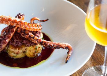 private chef villas seafood octopus greece 1