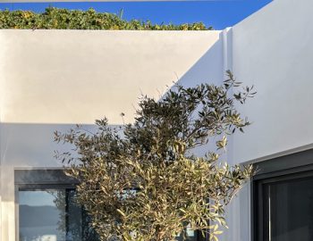 villa emepeiria paleros greece olive tree