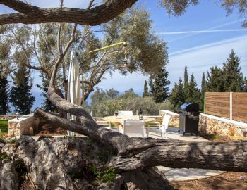 villa erato lefkada greece bbq dining table olive tree