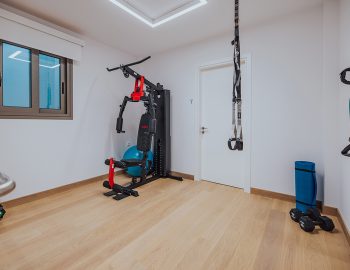 villa gamma sivota lefkada greece indoor gym