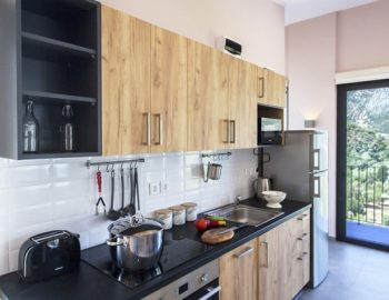 villa luca dessimi lefkada greece fully equipped kitchen 1