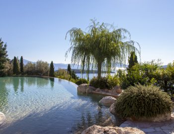 villa-mimoza-nidri-lefkada-luxury-accommodation-greece-pool-with-trees
