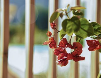 villa-mouria-paleros-greece-flower-design