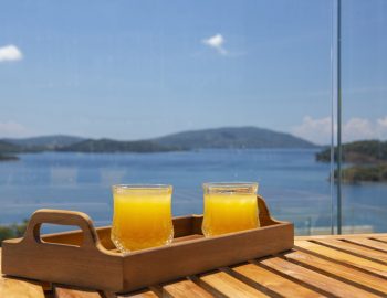 villa orama perigiali lefkada greece sea view fresh orange juice