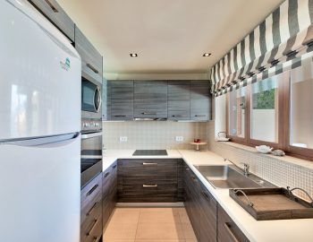 villa-scorpios-pogonia-paleros-greece-fully-equipped-kitchen
