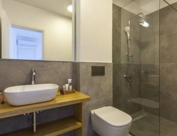 villa theia geni lefkada greece bathroom with shower