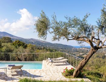 villa yellow stone kassipi cofu greece private pool area with olive tree